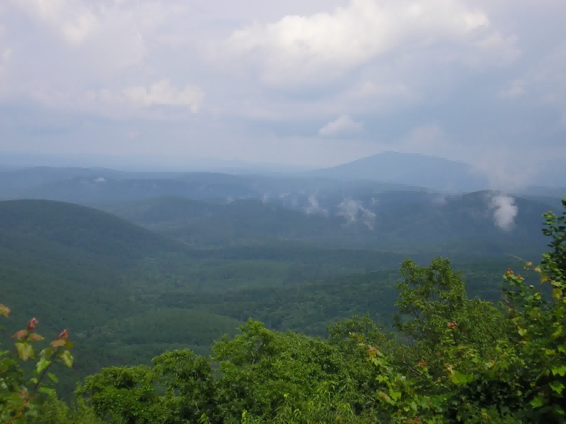 Rolling green hills and forested landscape of Southeast Oklahoma